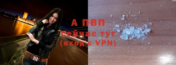 бошки Бородино