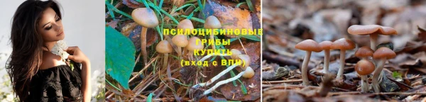 ALPHA PVP Богданович
