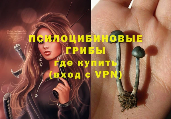 ALPHA PVP Богданович