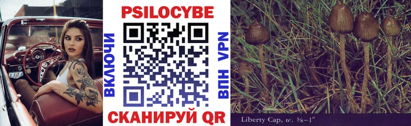 Галлюциногенные грибы GOLDEN TEACHER  Далматово 